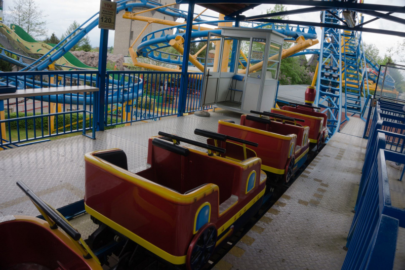Wild Train