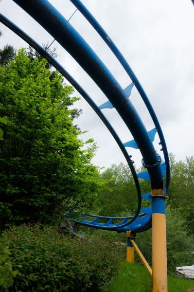 Wild Train