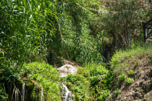 Fonts de l'Algar