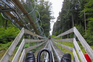 Trapper Slider • Wiegand Alpine Coaster