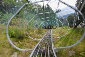 Trapper Slider • Wiegand Alpine Coaster