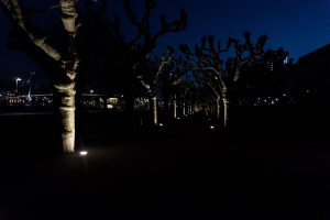 Luminale