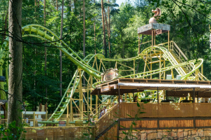 Cobra Coaster