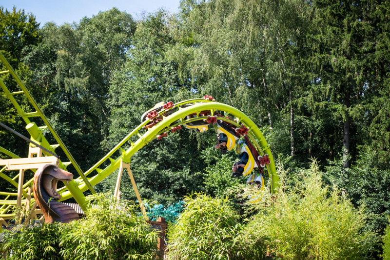 Cobra • Interpark Wildwind