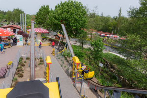 Butterfly • Heege Butterfly