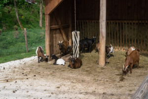 Impressions from the theme park / Eindrücke aus dem Freizeitpar