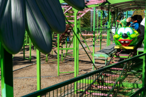 Raupe • SBF Visa Big Apple