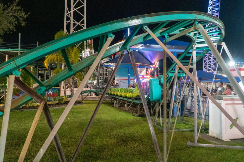 DSC2537