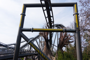 Raptor