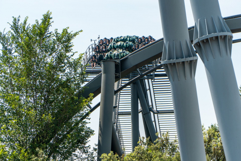 Raptor