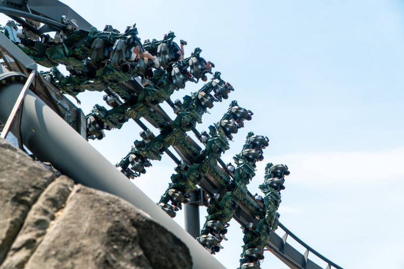 Raptor