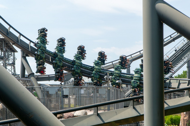 Raptor
