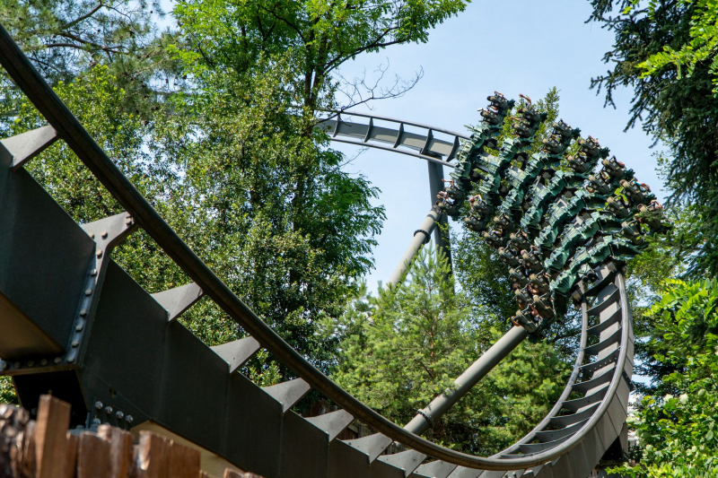 Raptor