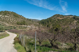 Gorg del Salt – Barranco de l'Encantada