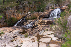 Fish Falls