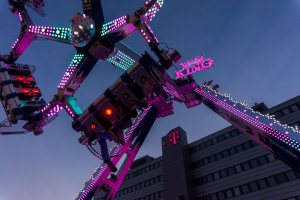 The King (Zinnecker)