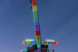 The King (Zinnecker)