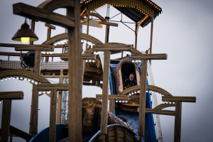 Wildwasser (Meyer-Steiger)