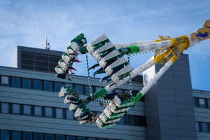 XXL Höhenrausch (Goetzke)