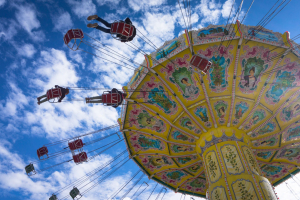 Wellenflug (Hanstein)