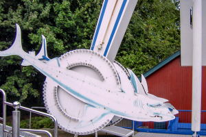 Fliegender Hai • HUSS Ranger • Hansa Park