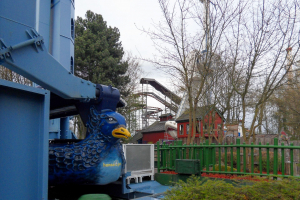 Sturmvogel • Schwarzkopf Dschunke