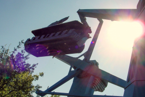 Sturmvogel • Schwarzkopf Dschunke