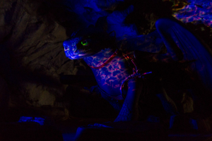 Drachengrotte • Mack Rides Boat Ride