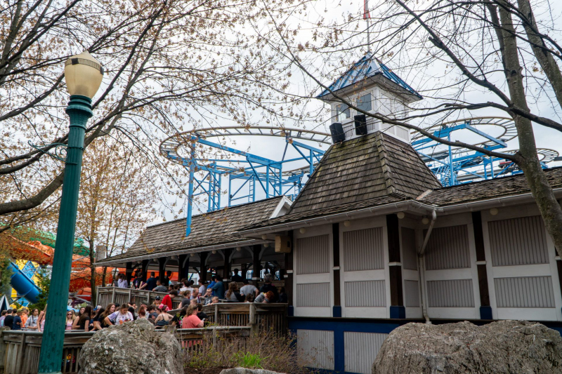 Wild Mouse