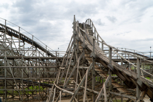 Wildcat