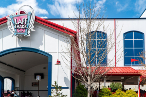 Laff Track