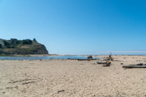 San Gregorio State Beach