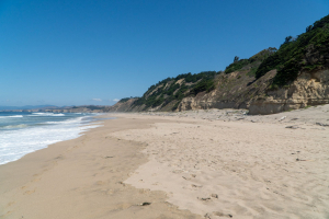 San Gregorio State Beach