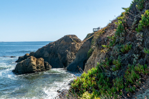 Pigeon Point Light Station Historic Park