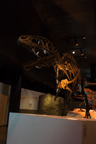 Houston Museum of Natural Science