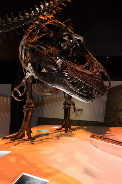 Houston Museum of Natural Science