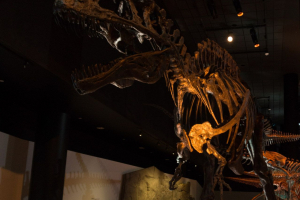 Houston Museum of Natural Science