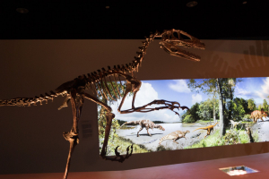 Houston Museum of Natural Science
