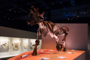 Houston Museum of Natural Science