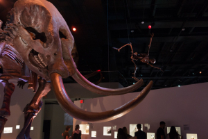 Houston Museum of Natural Science