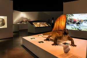 Houston Museum of Natural Science