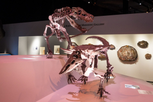 Houston Museum of Natural Science