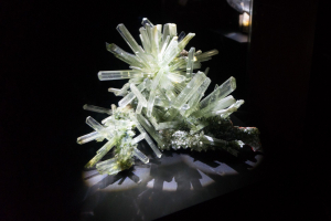 Houston Museum of Natural Science