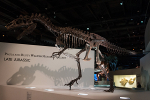 Houston Museum of Natural Science