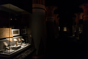 Houston Museum of Natural Science