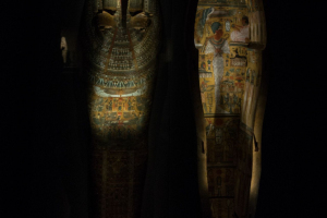 Houston Museum of Natural Science