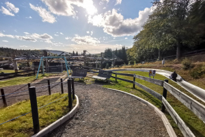 Sommerrodelbahn • Wiegand Sommerrodelbahn • Inselberg Funpar