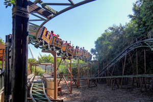 El Tren de Potosi