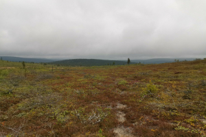 Ivalo