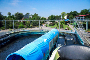 Wildwasser • SDC Log Flume